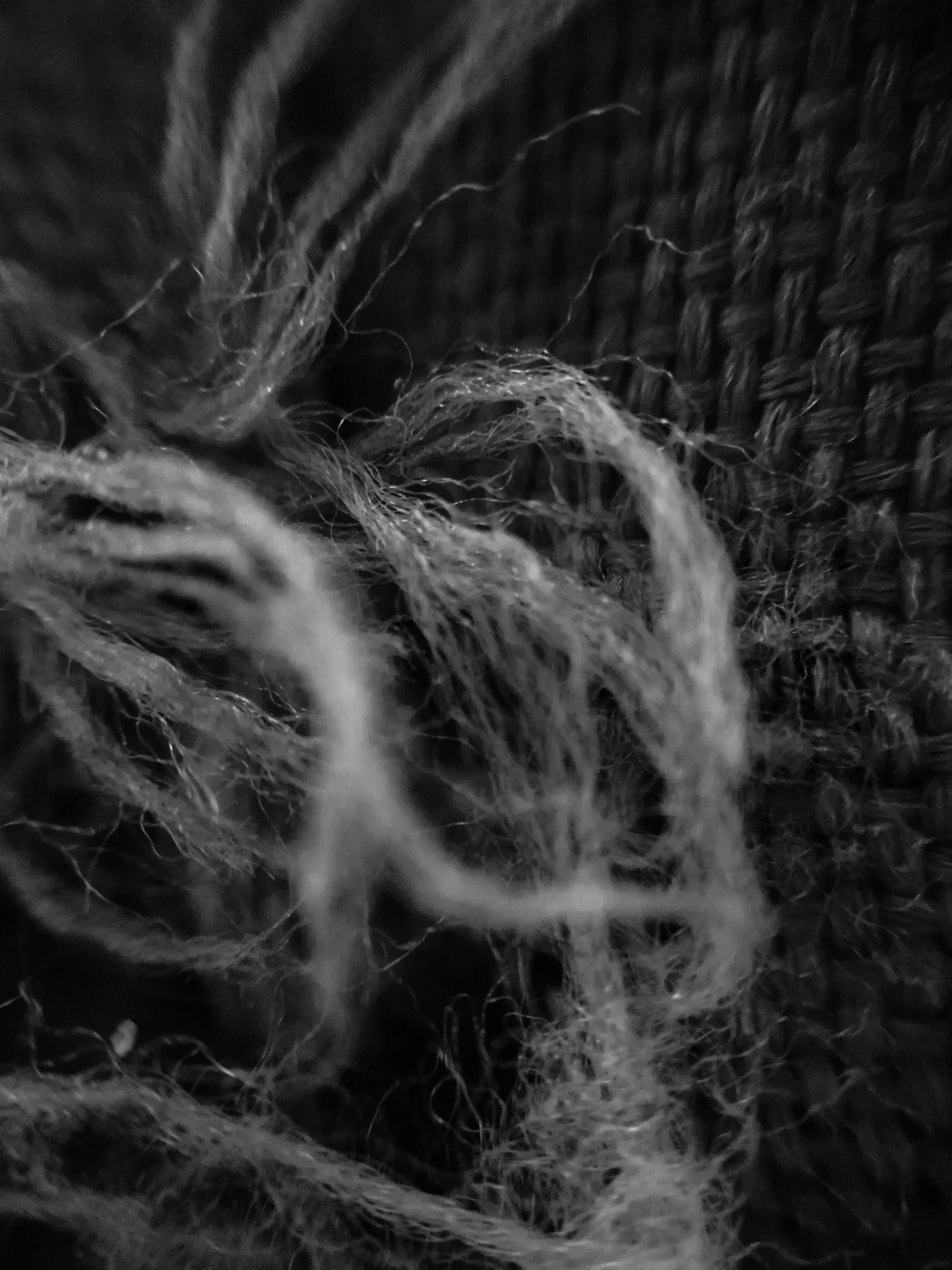 This is a blcak and white macro shot of frayed string from a pencil case